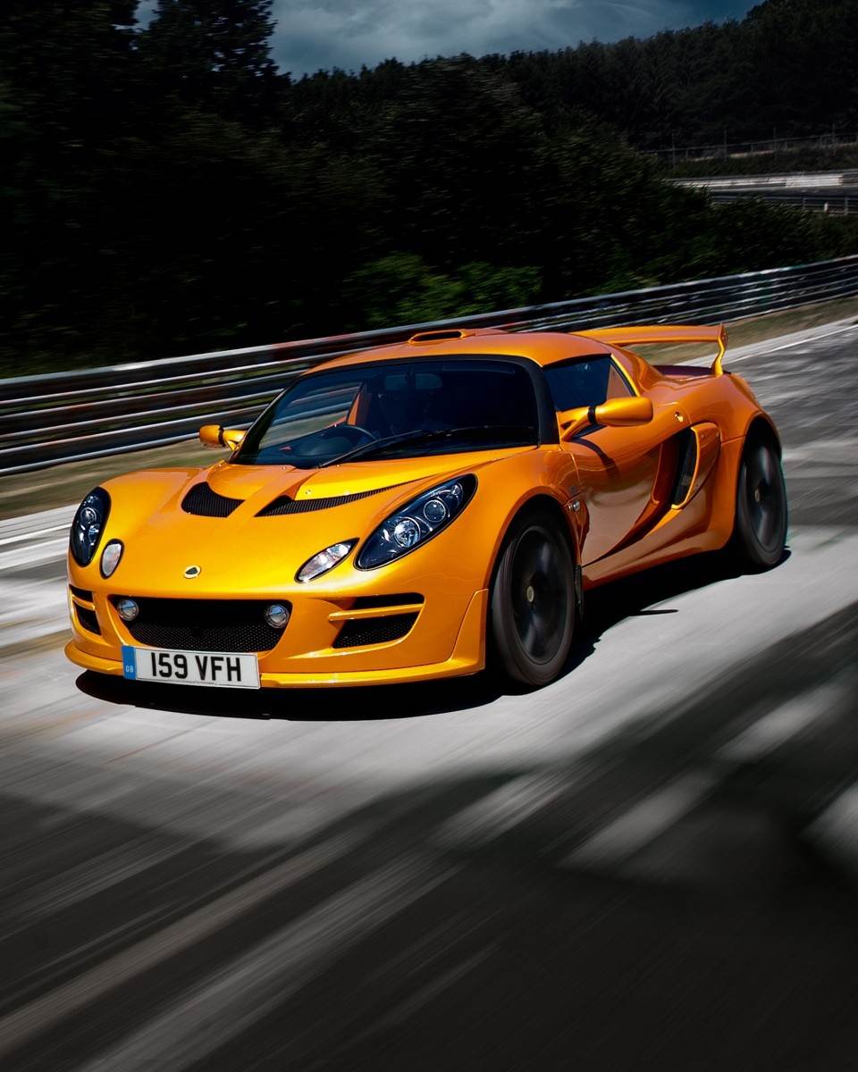lotus for sale