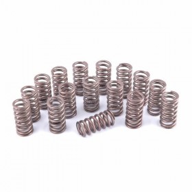 Piper Uprated Double Valve Spring Set