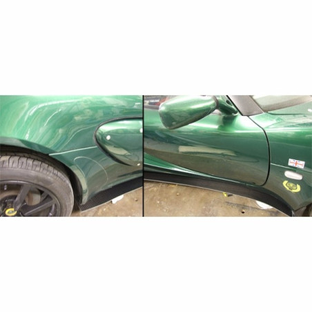 Carbon Side Sill Extensions (Pair)